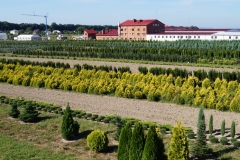Elit Flora
