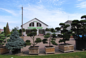 zagalna